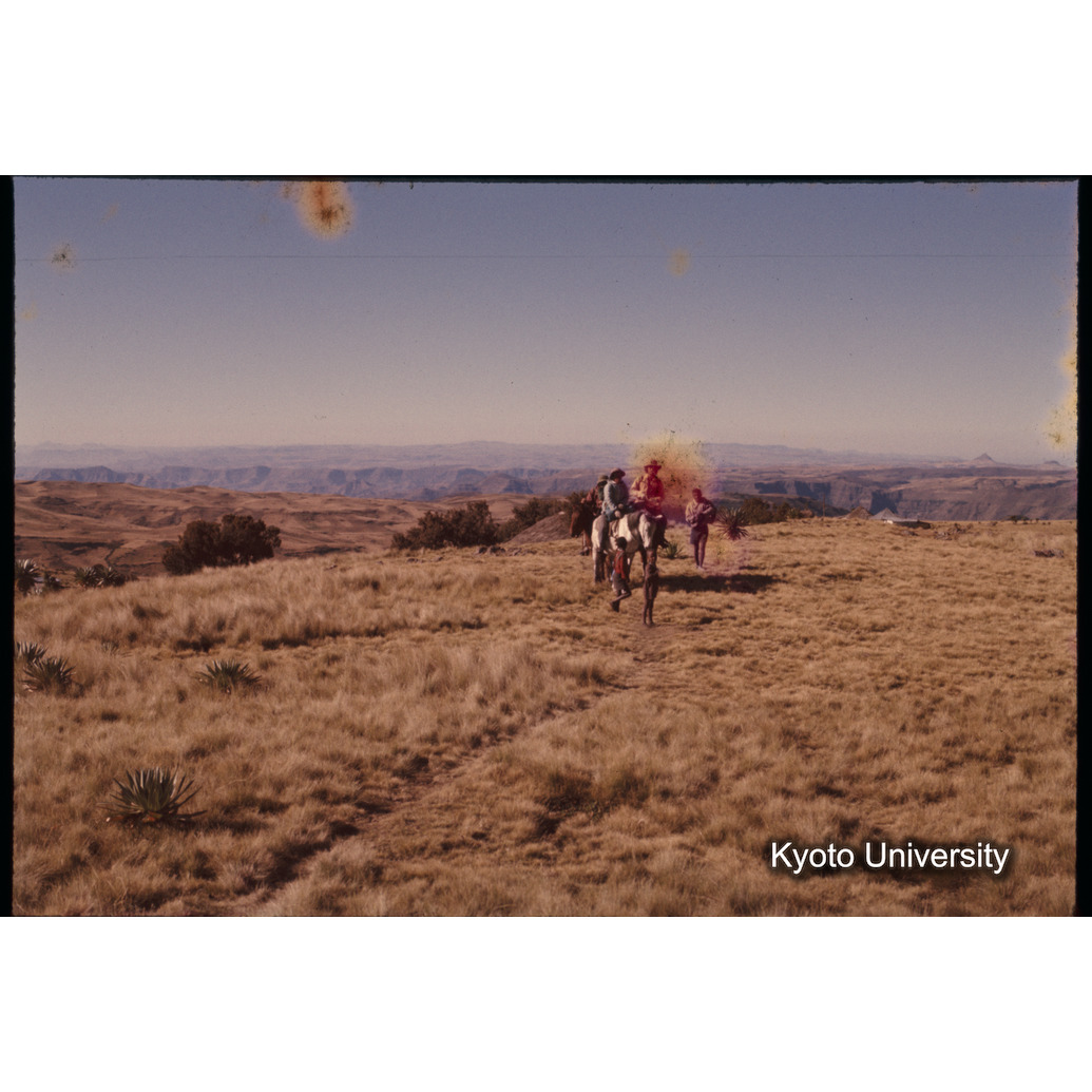 Sm　1973　1400 (1)