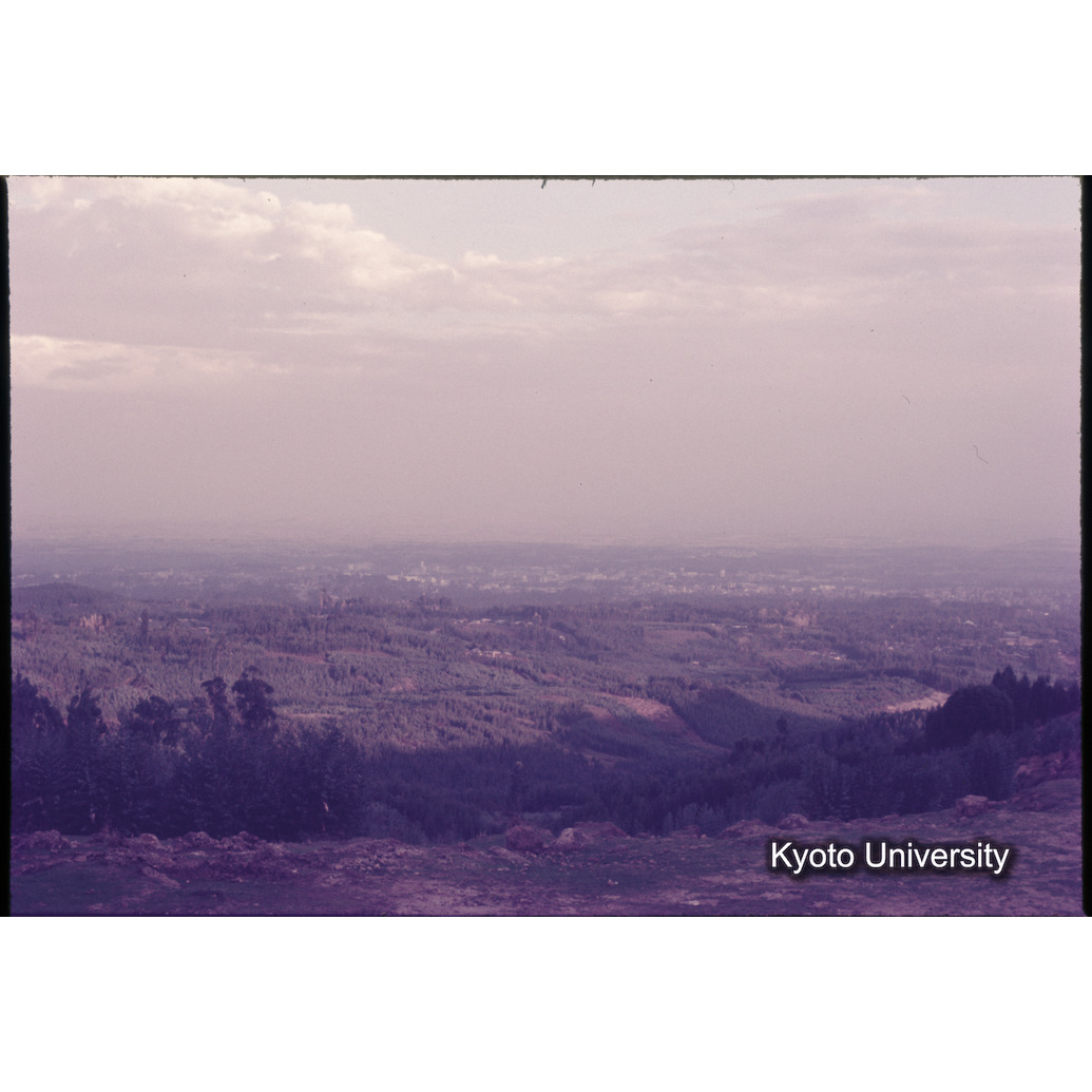 Sm　1973　1135 (1)