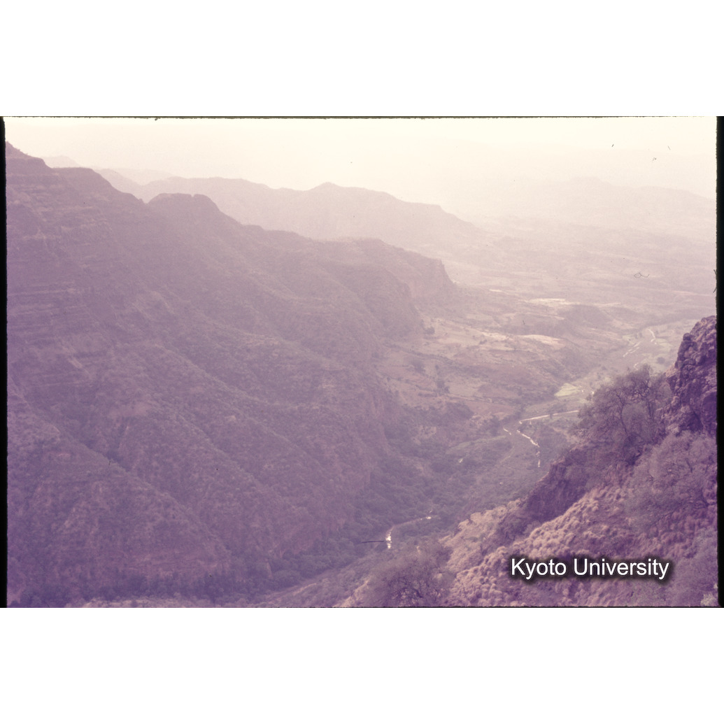 Sm　1973　1138 (1)