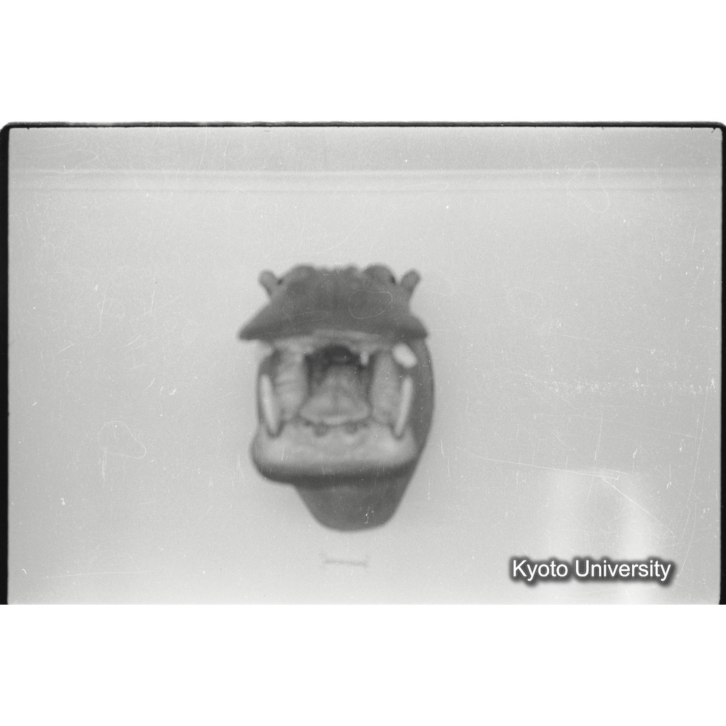 [1コマ目]「カバのトロフィー」 (1)