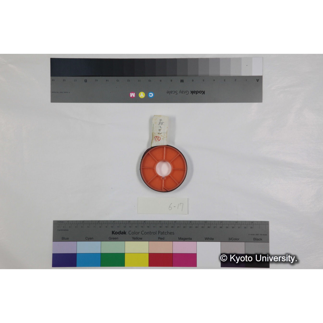 フッテージ１７「森とサル」 (3)