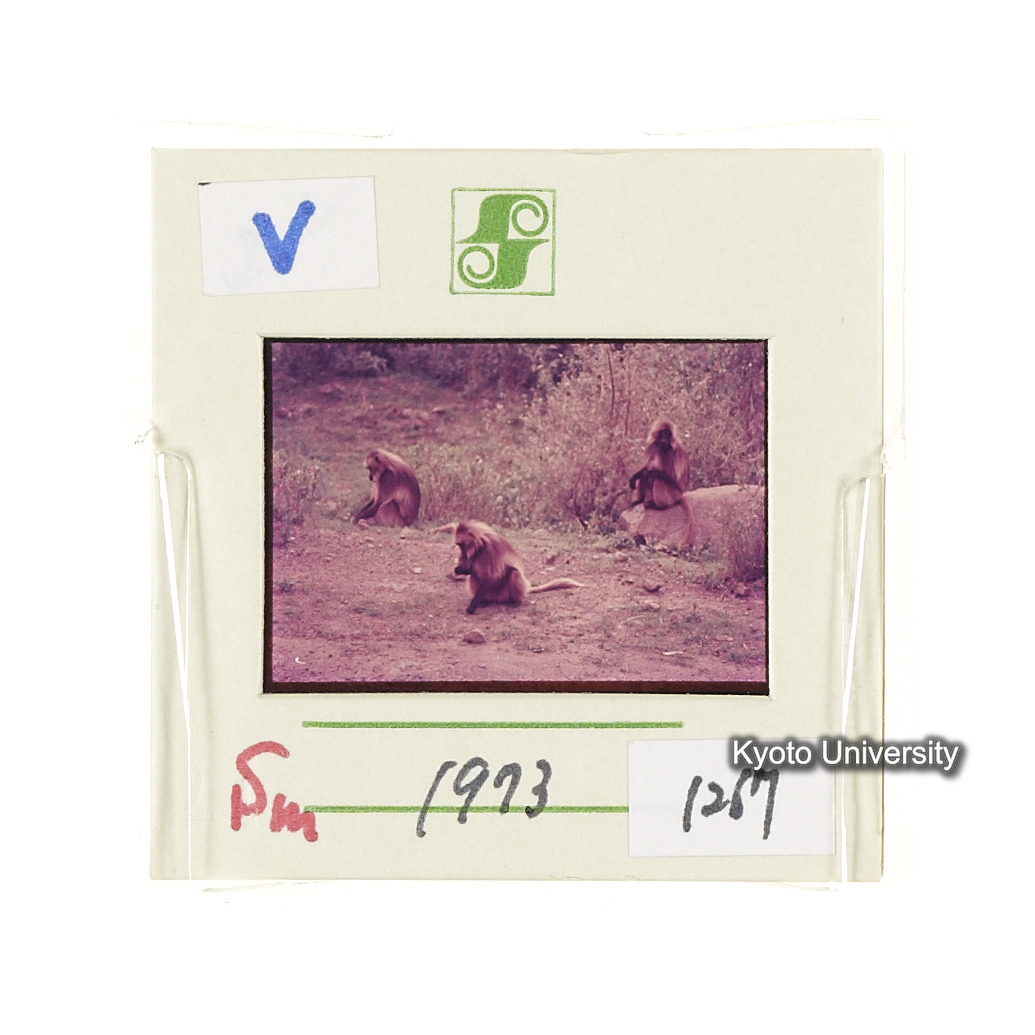 Sm　1973　1267 (2)