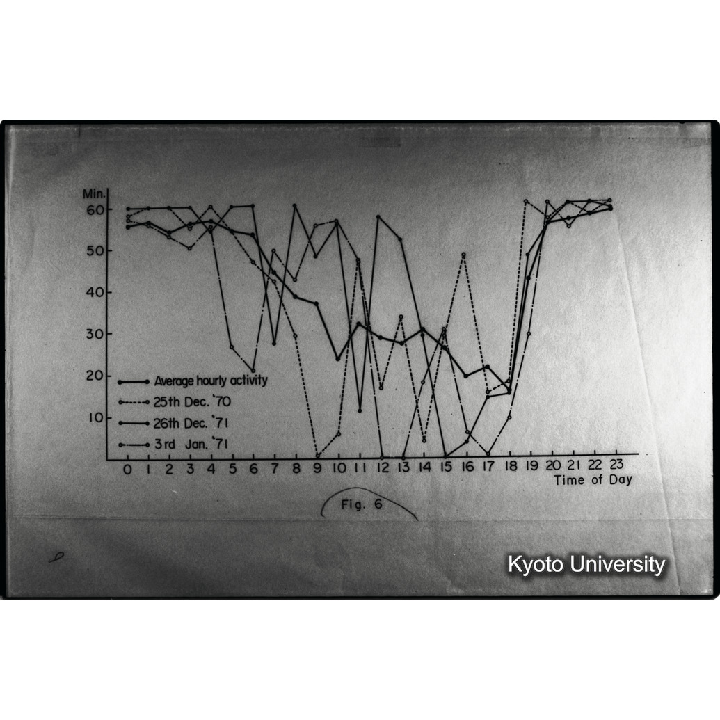 [９コマ目]「×」 (1)