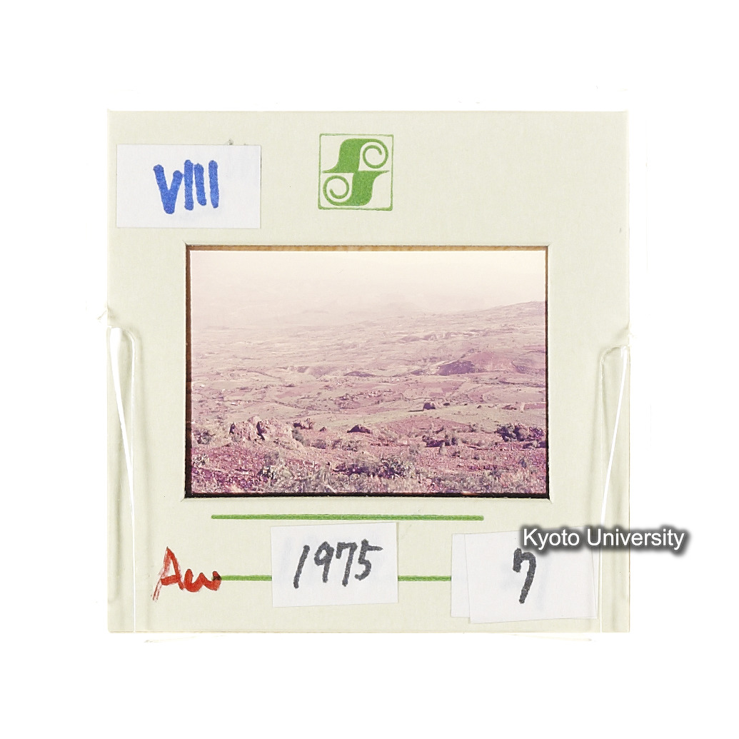 Aw　1975　7 (2)