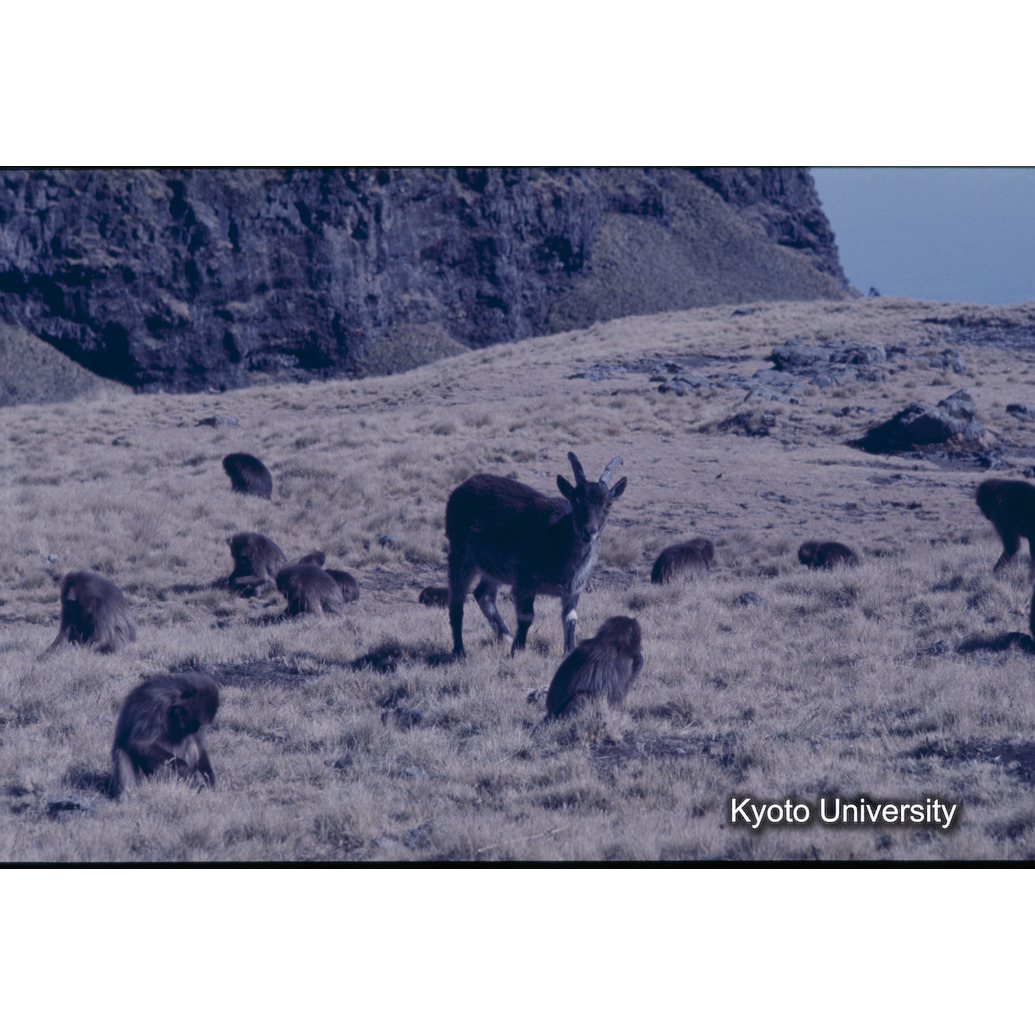 Sm　1973　1005 (1)