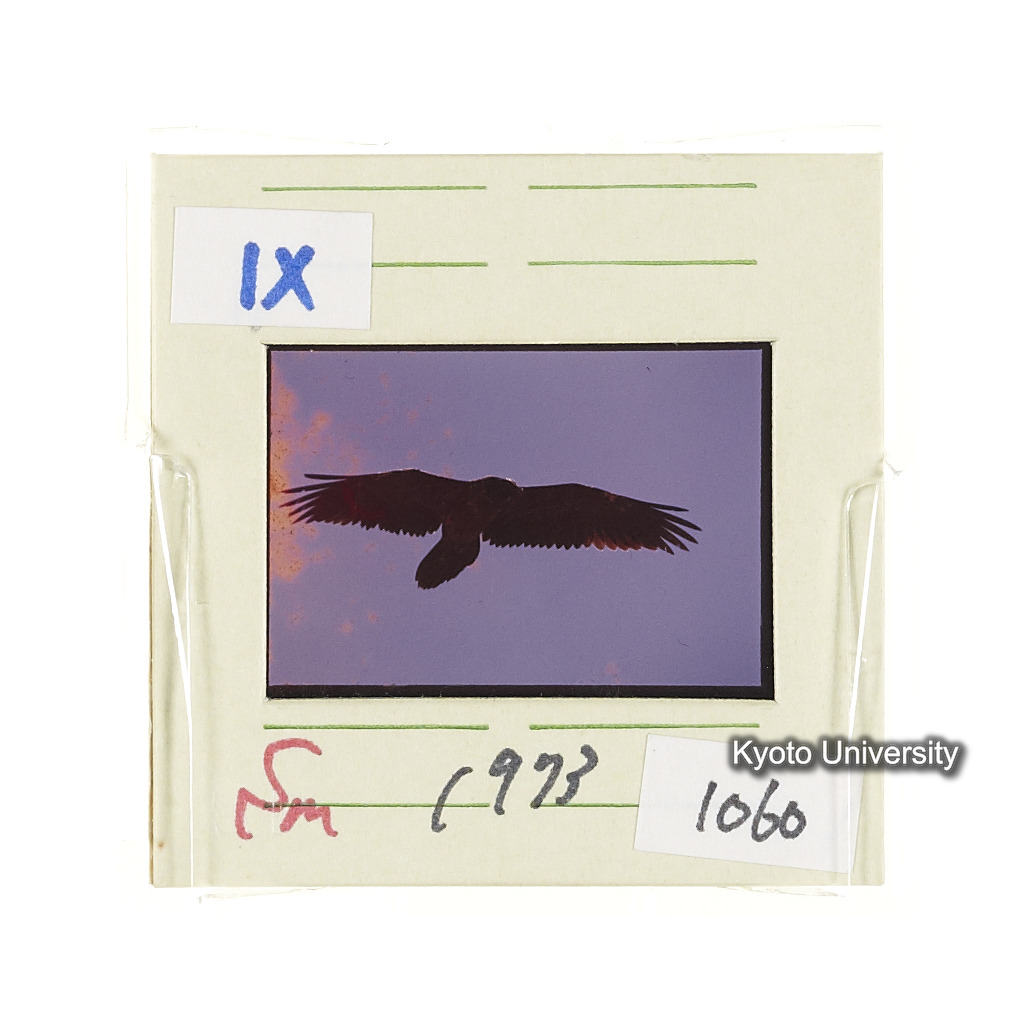 Sm　1973　1060 (2)