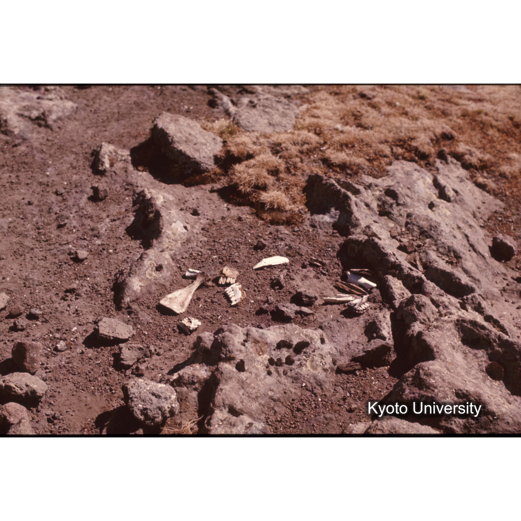 Sm　1973　1255 (1)