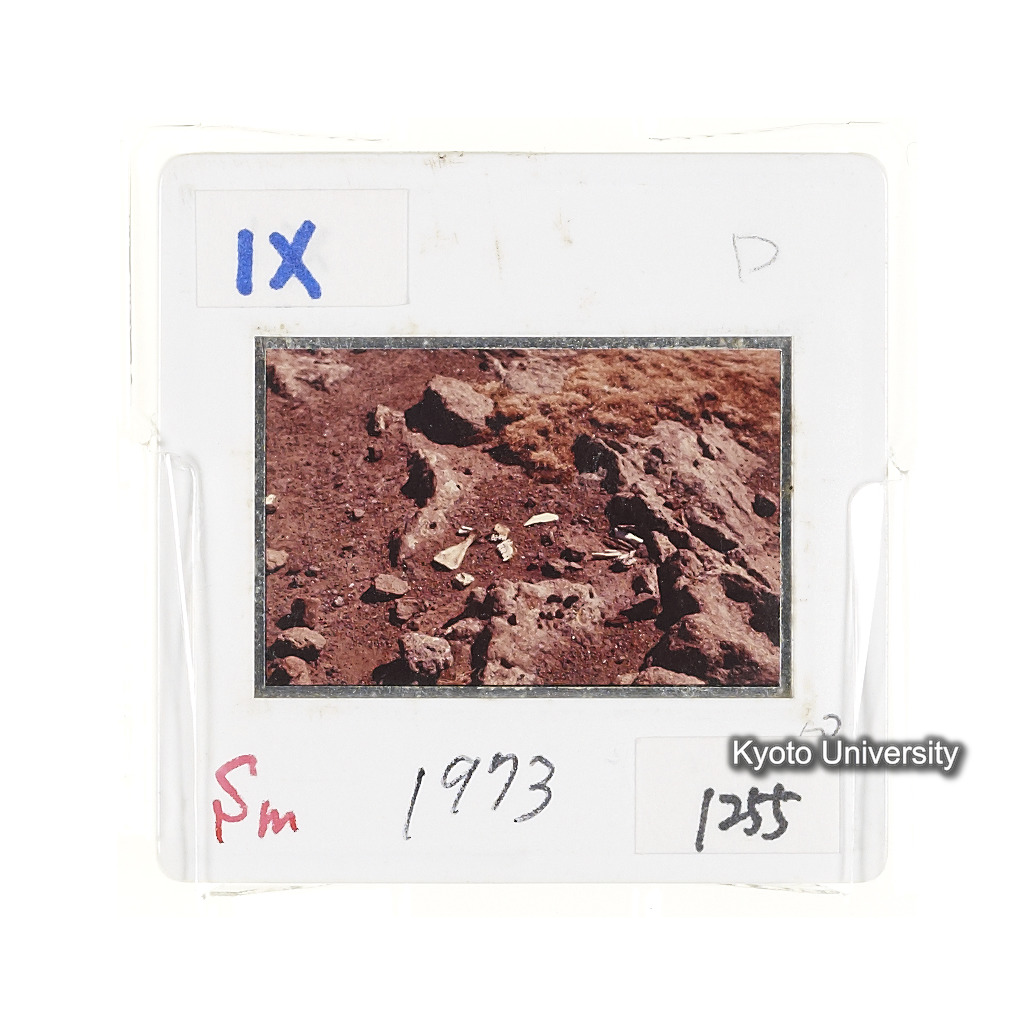 Sm　1973　1255 (2)