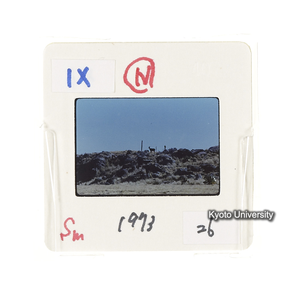 Sm　1973　26　（N）[赤色, 丸囲み] (2)