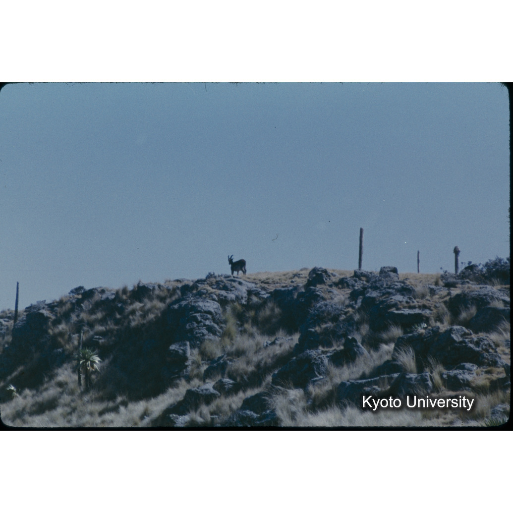 Sm　1973　27　（N）[赤色, 丸囲み] (1)