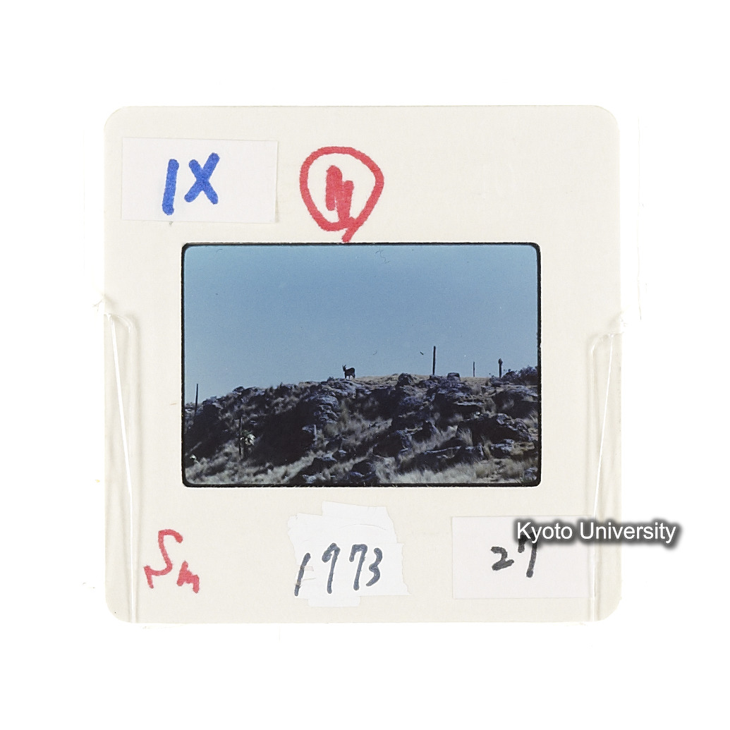 Sm　1973　27　（N）[赤色, 丸囲み] (2)