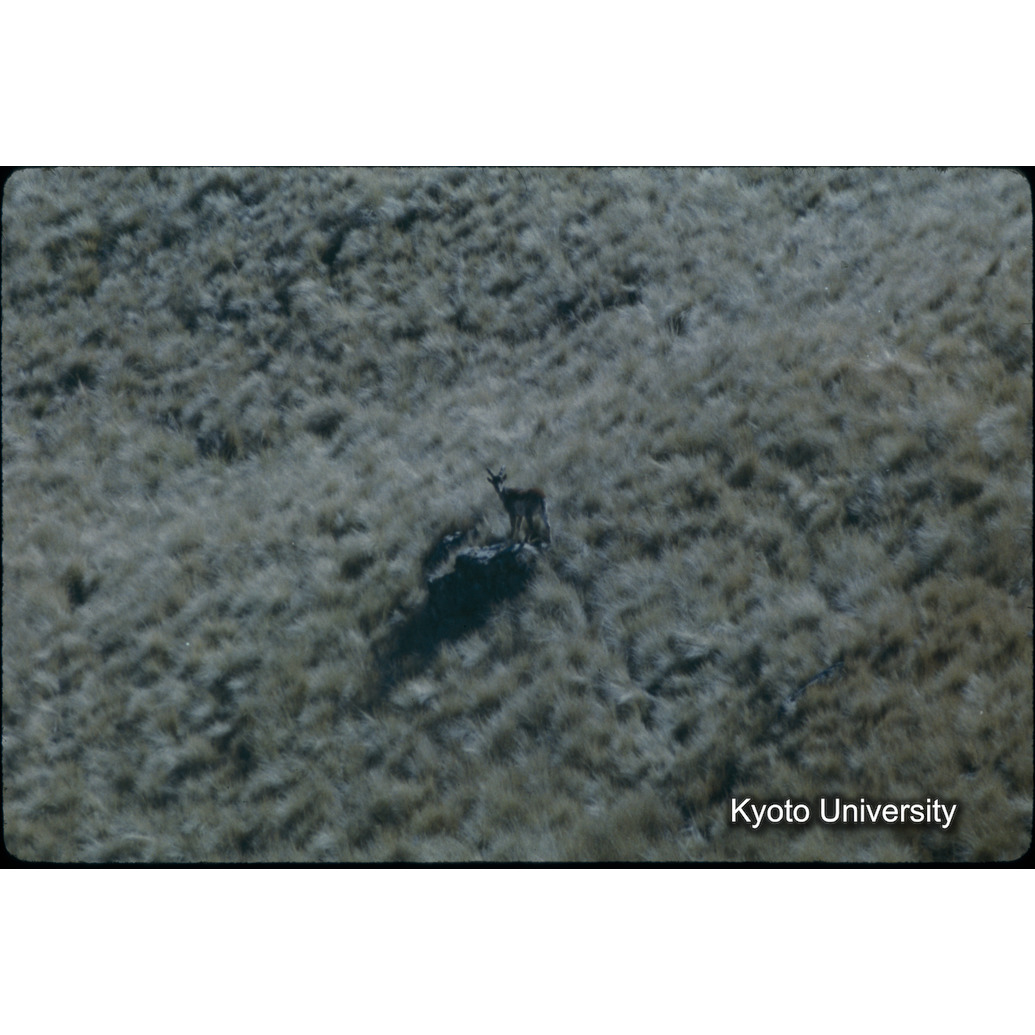 Sm　1973　28　（N）[赤色, 丸囲み] (1)