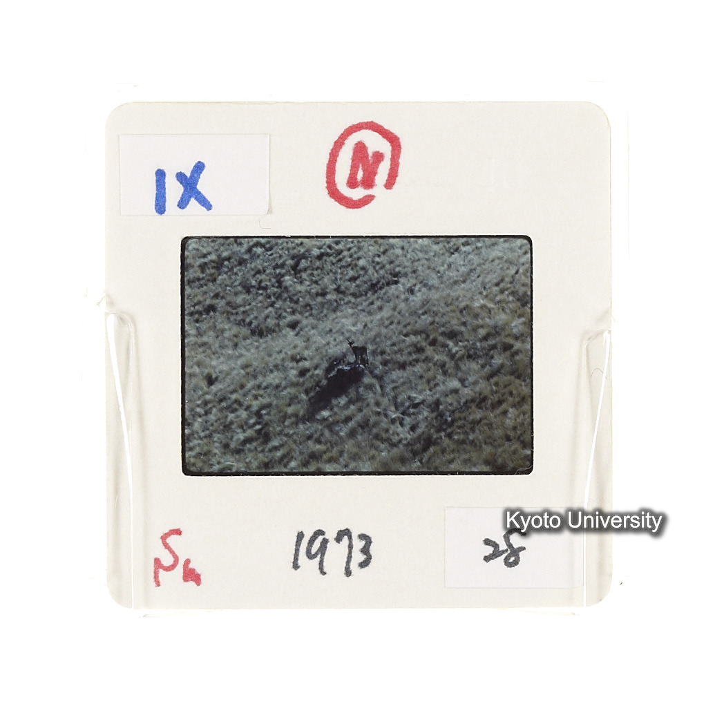 Sm　1973　28　（N）[赤色, 丸囲み] (2)