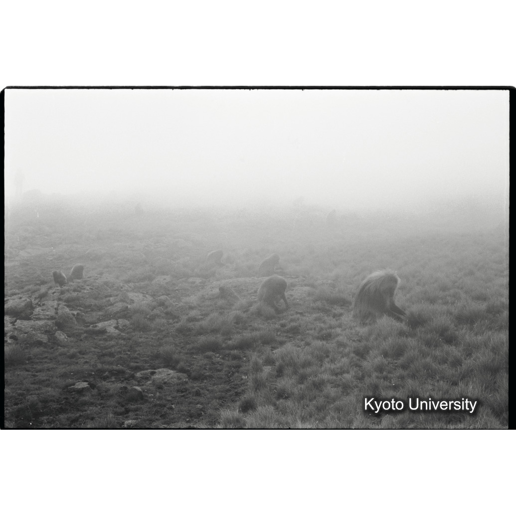 [３４コマ目]「ガス（雲）に覆れる」 (1)