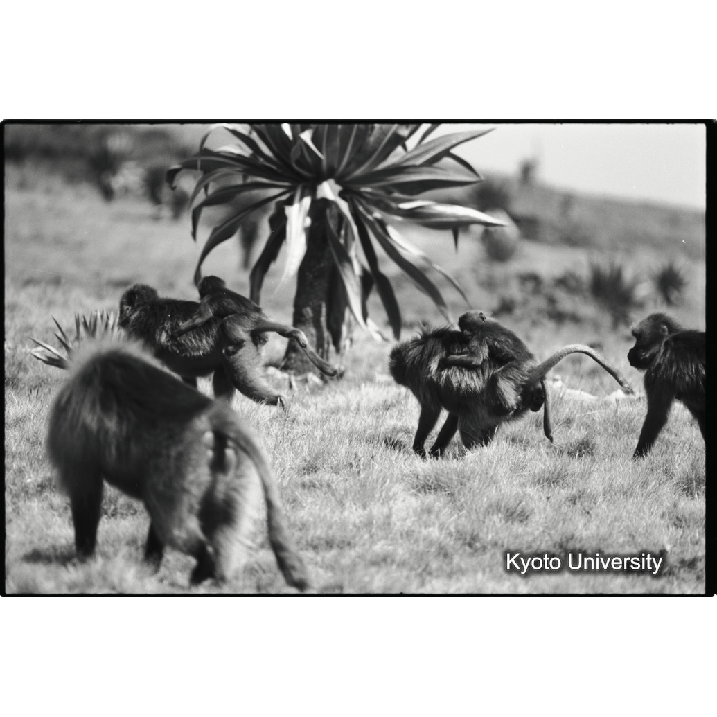 [１コマ目]「移動」 (1)