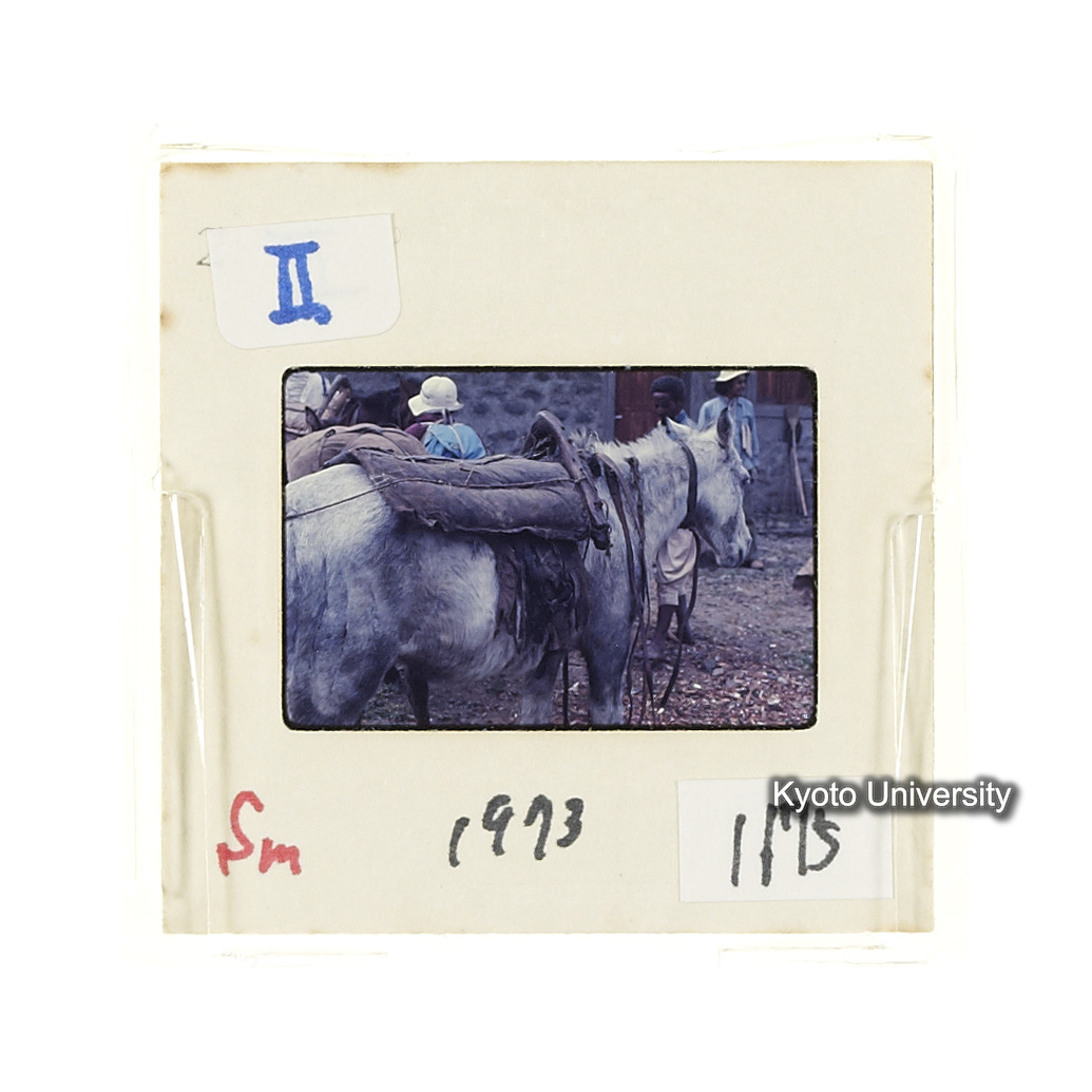 Sm　1973　1175 (2)