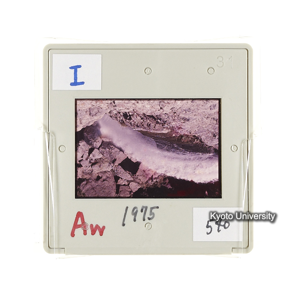 Aw　1975　540 (2)