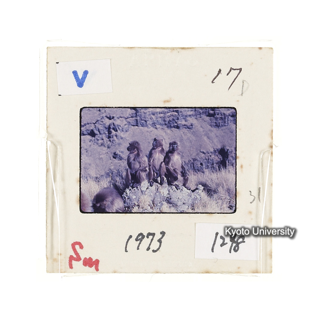 Sm　1973　1248 (2)