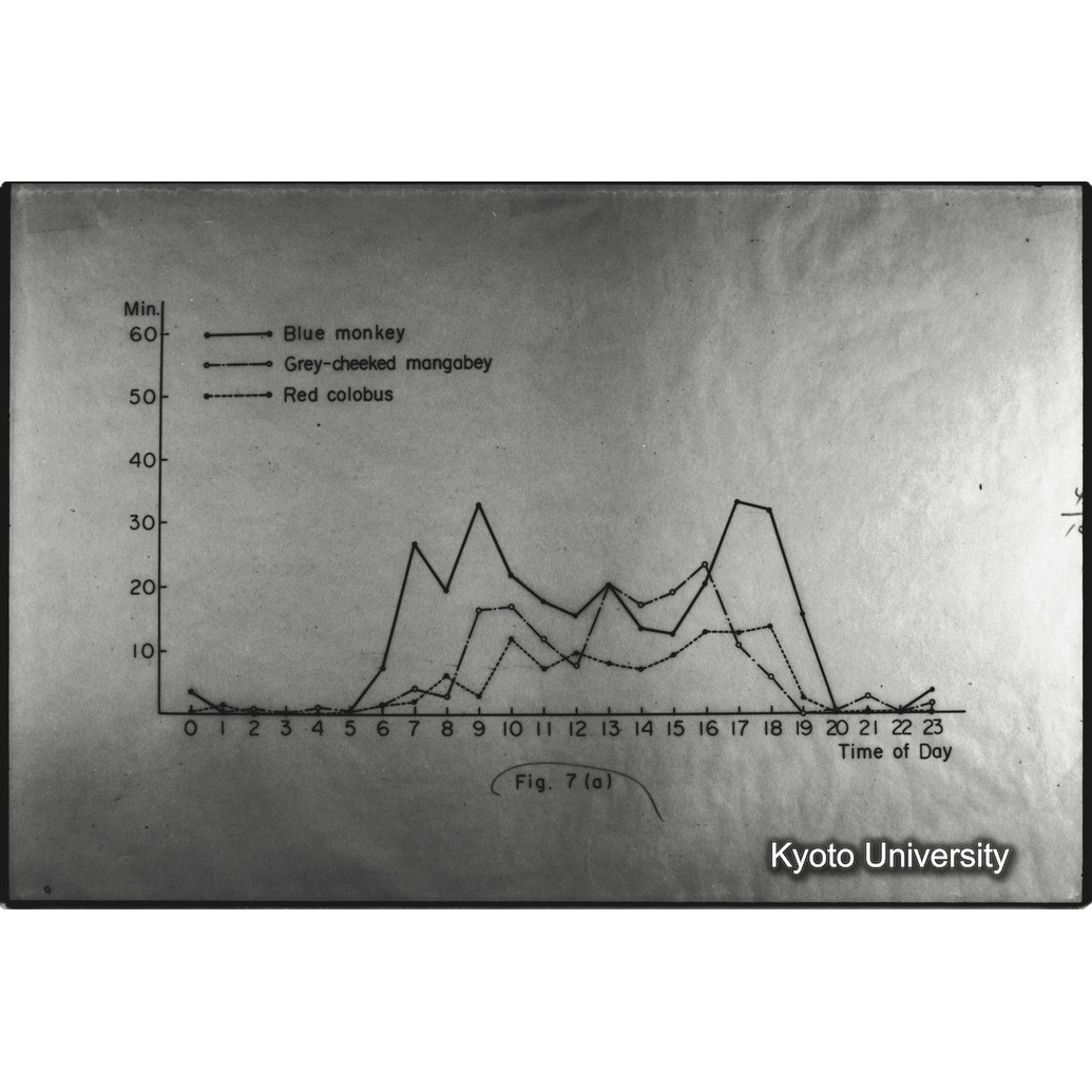 [１コマ目]「×」 (1)