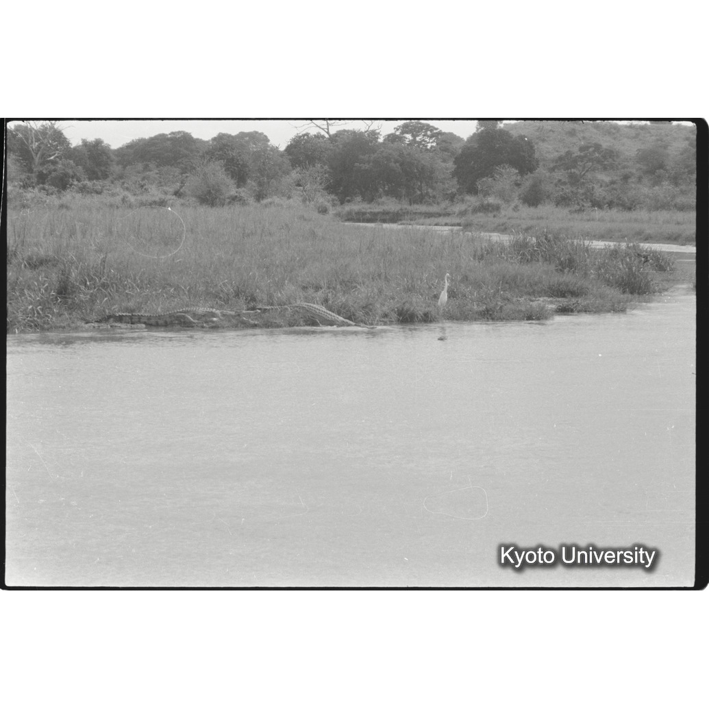 [３１コマ目]「×」 (1)