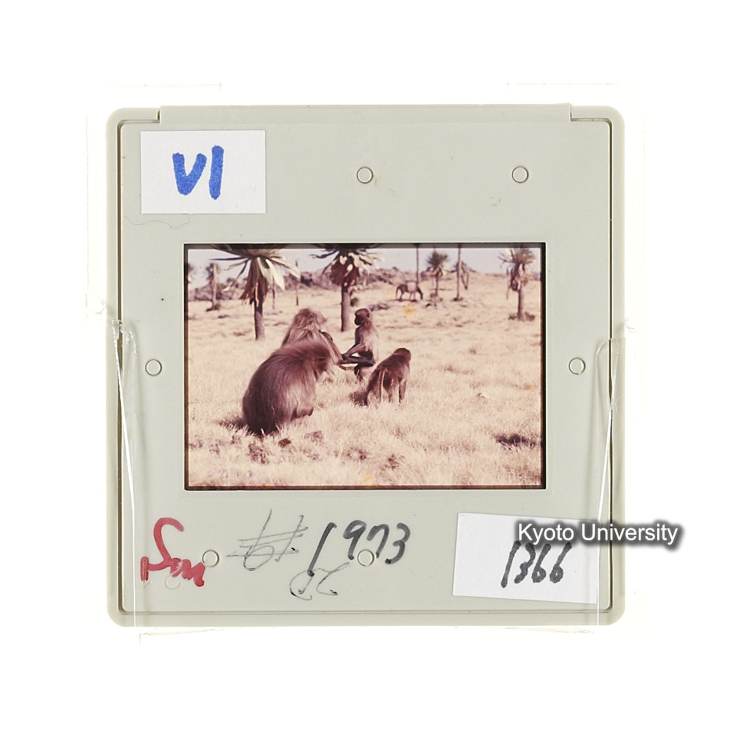 Sm　1973　1366 (2)