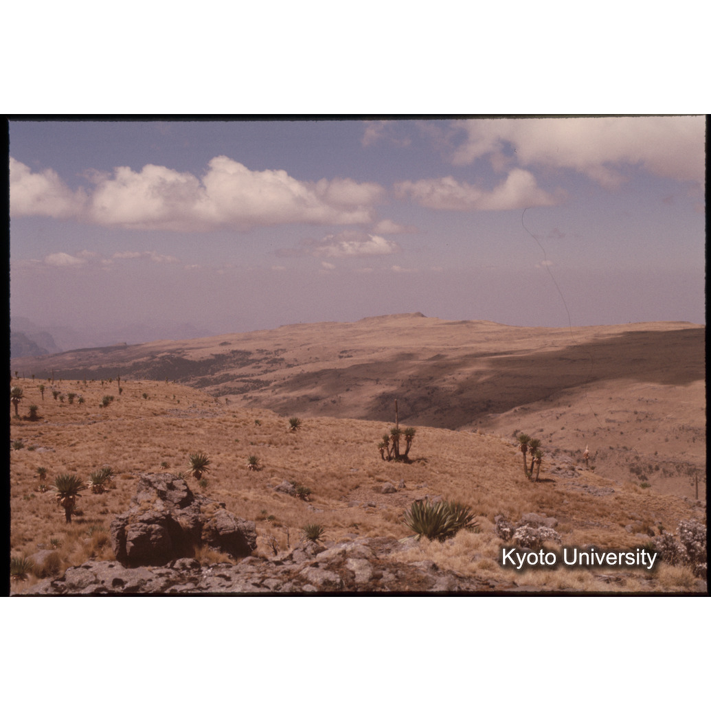 Sm　1973　1098 (1)