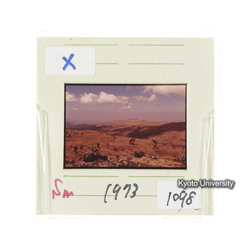 Sm　1973　1098 (2)