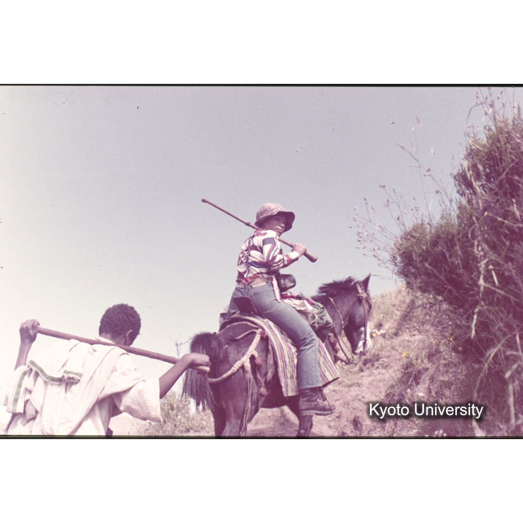 Sm　1973　1093 (1)