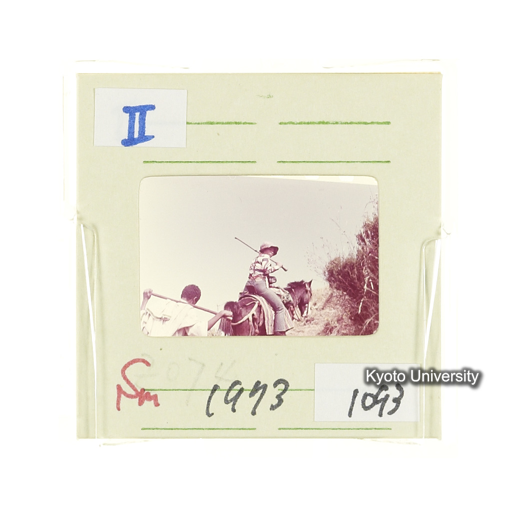 Sm　1973　1093 (2)