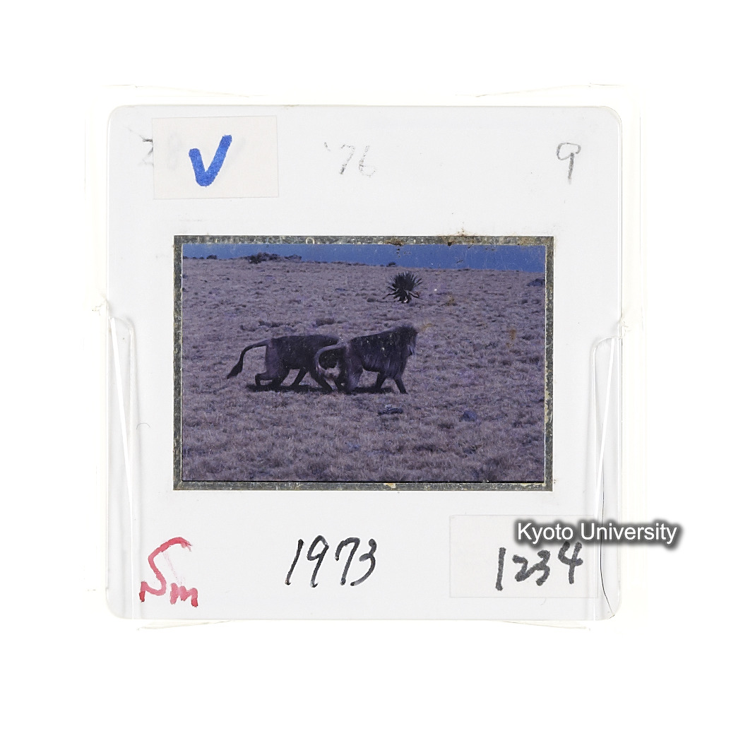 Sm　1973　1234 (2)