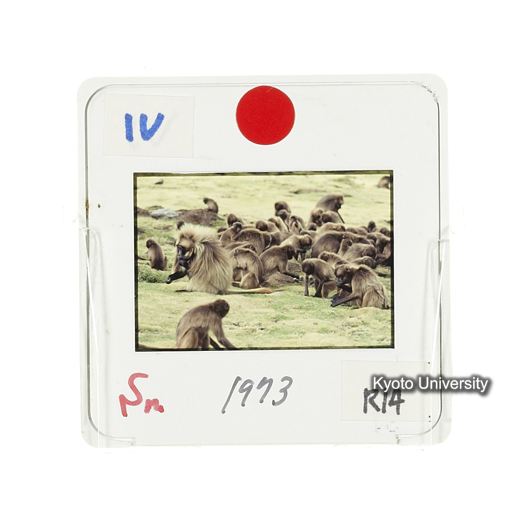 Sm　1973　R14　●[赤色シール] (2)