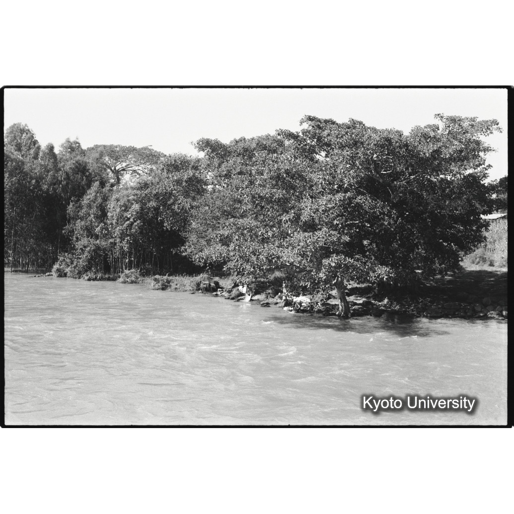 [５コマ目]「タナ湖（４）」 (1)