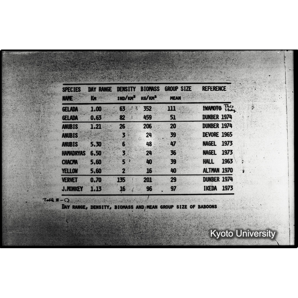 [２８コマ目]「×」 (1)