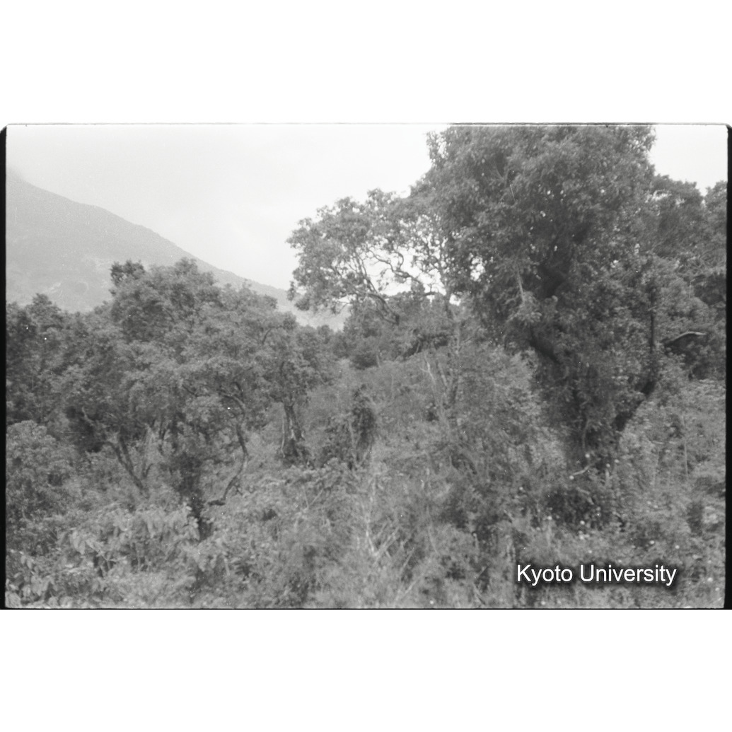 [15コマ目]「×」 (1)