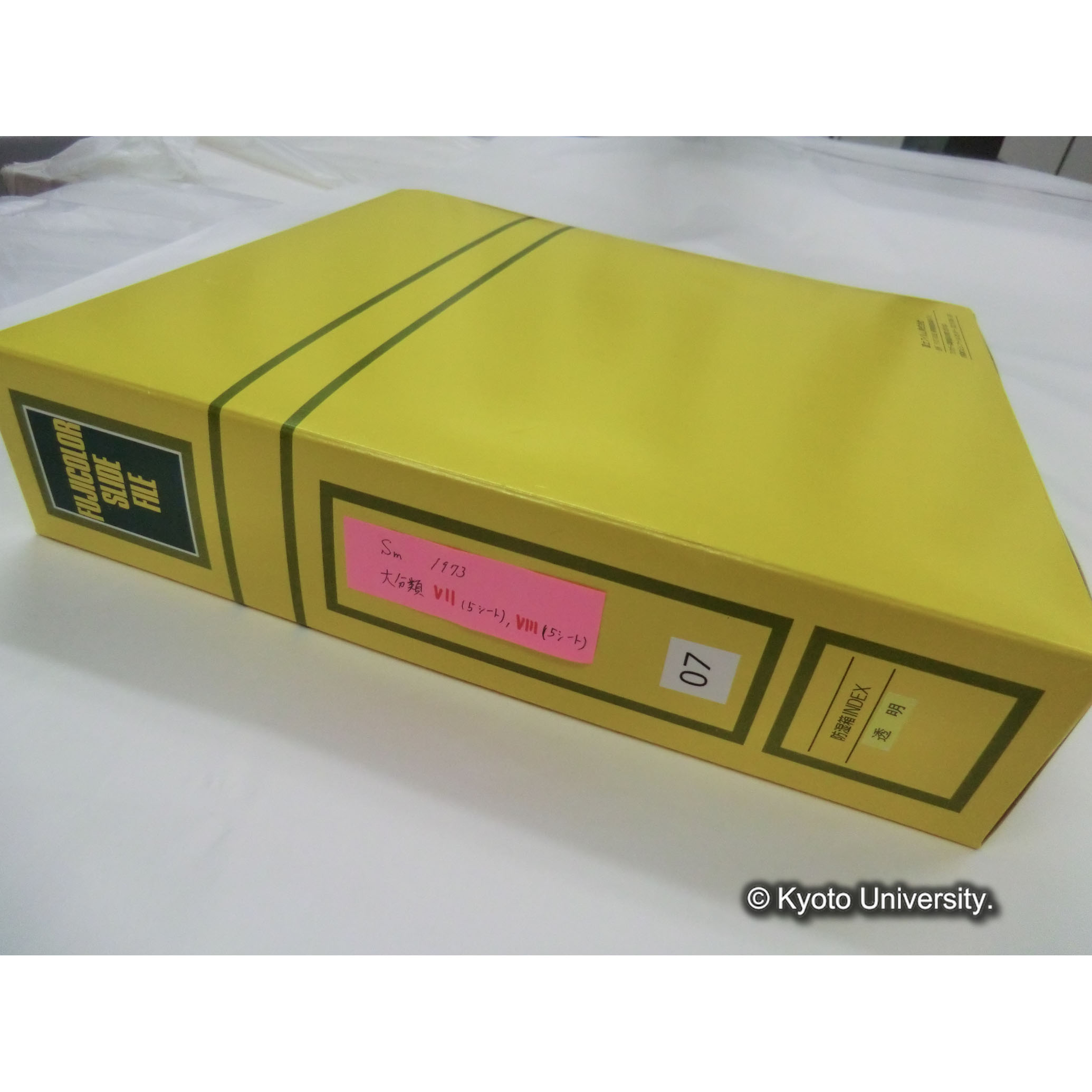 [スライドファイル]Sm1973 大分類VII（5シート），VIII（5シート） [ラベル]07. (1)