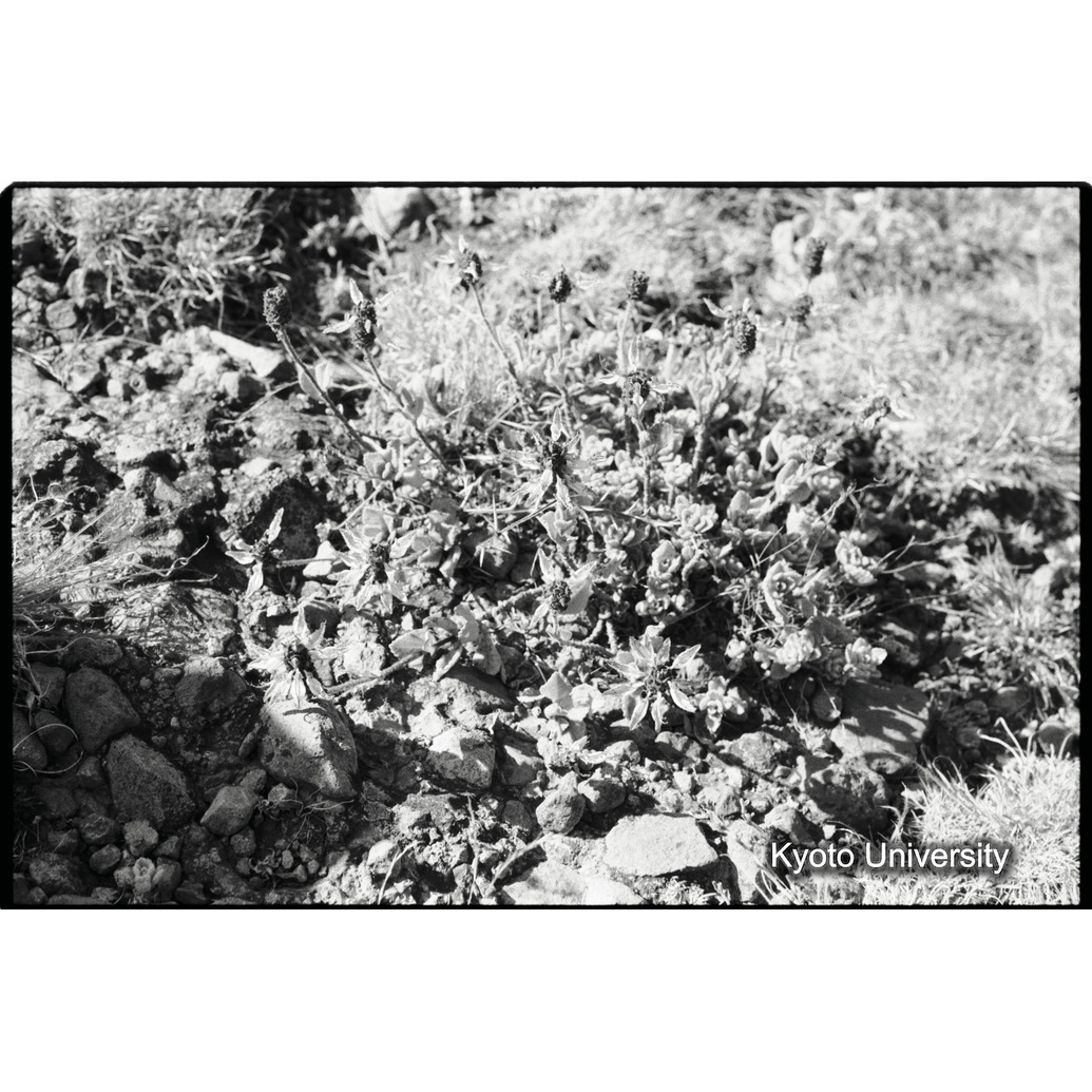 [１５コマ目] (1)