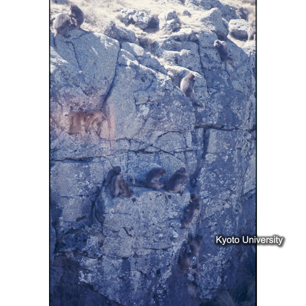 Sm　1973　16　（N）[赤色, 丸囲み] (1)