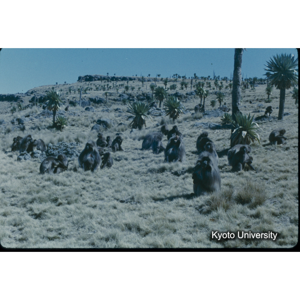 Sm　1973　57　（N）[赤色, 丸囲み] (1)