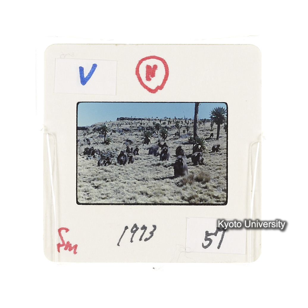 Sm　1973　57　（N）[赤色, 丸囲み] (2)