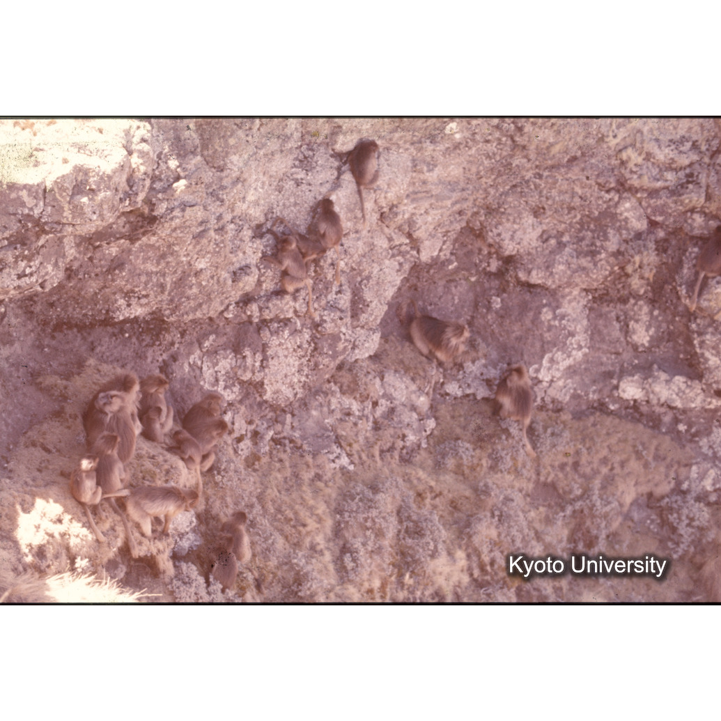 Sm　1973　1493 (1)