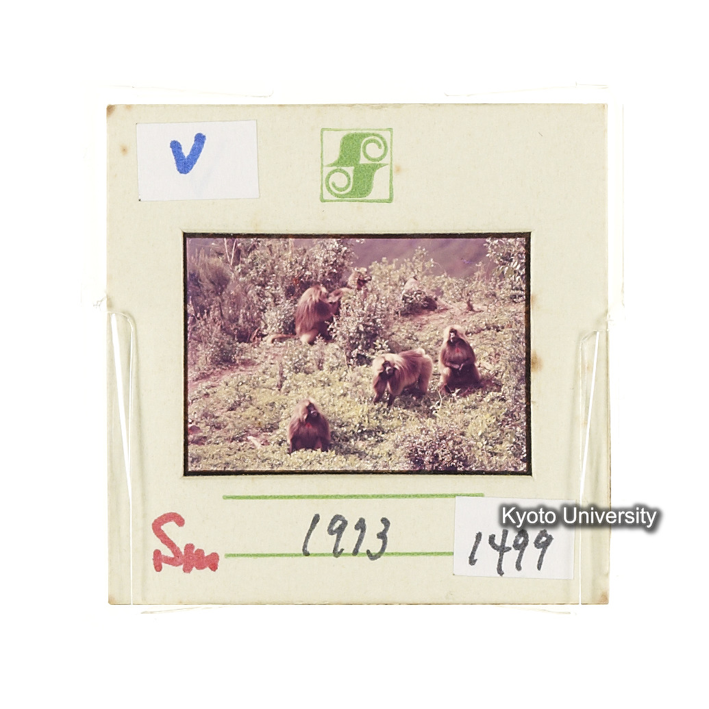 Sm　1973　1499 (2)