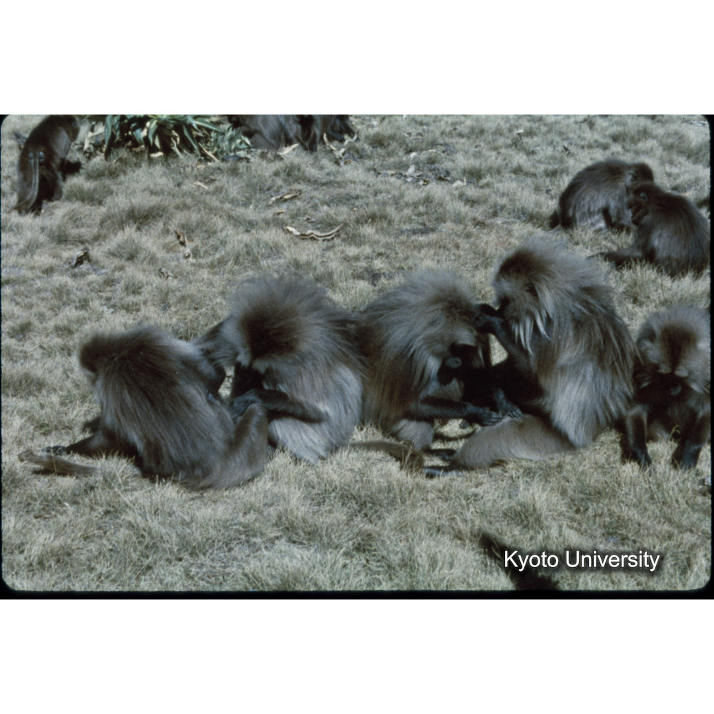 Sm　1973　1500 (1)