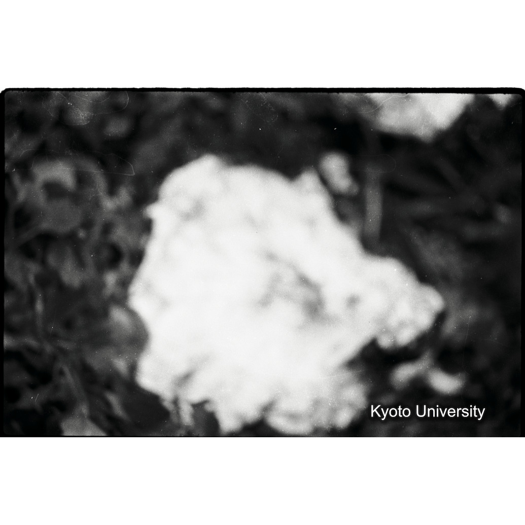 [3コマ目]「×」 (1)