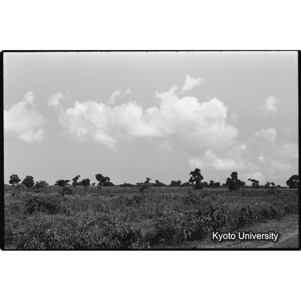 [２７コマ目]「畑（２）」 (1)