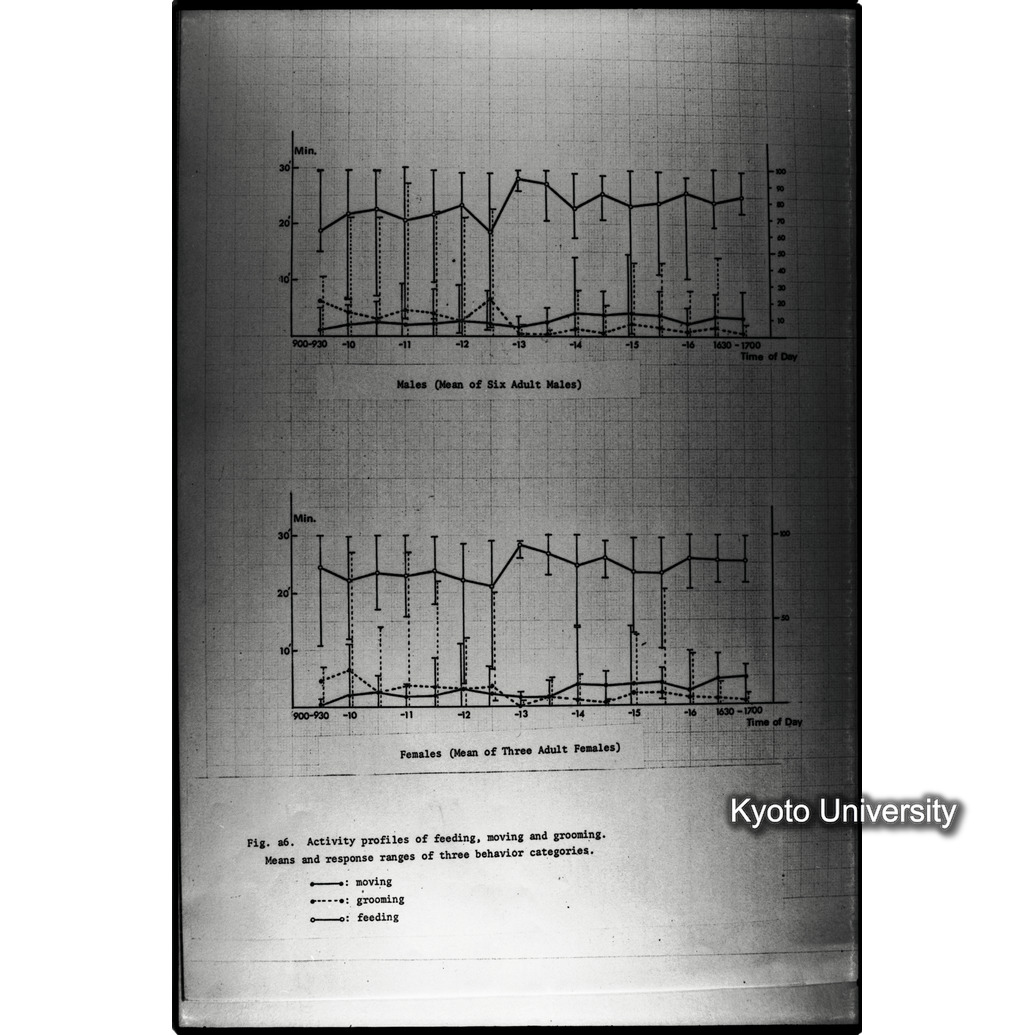 [１６コマ目]「×」 (1)