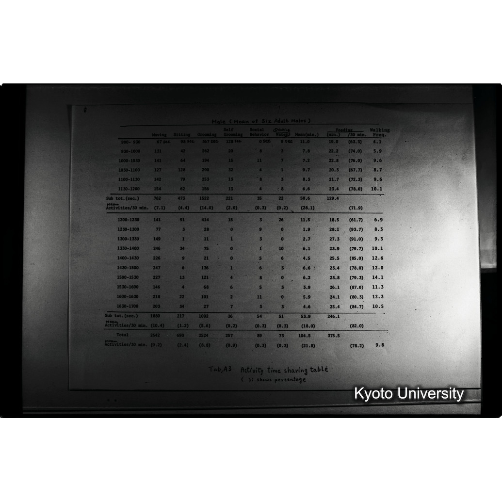 [１７コマ目]「×」 (1)