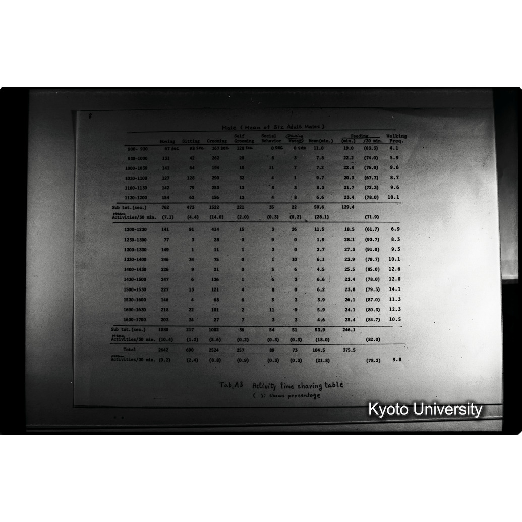 [１８コマ目]「×」 (1)
