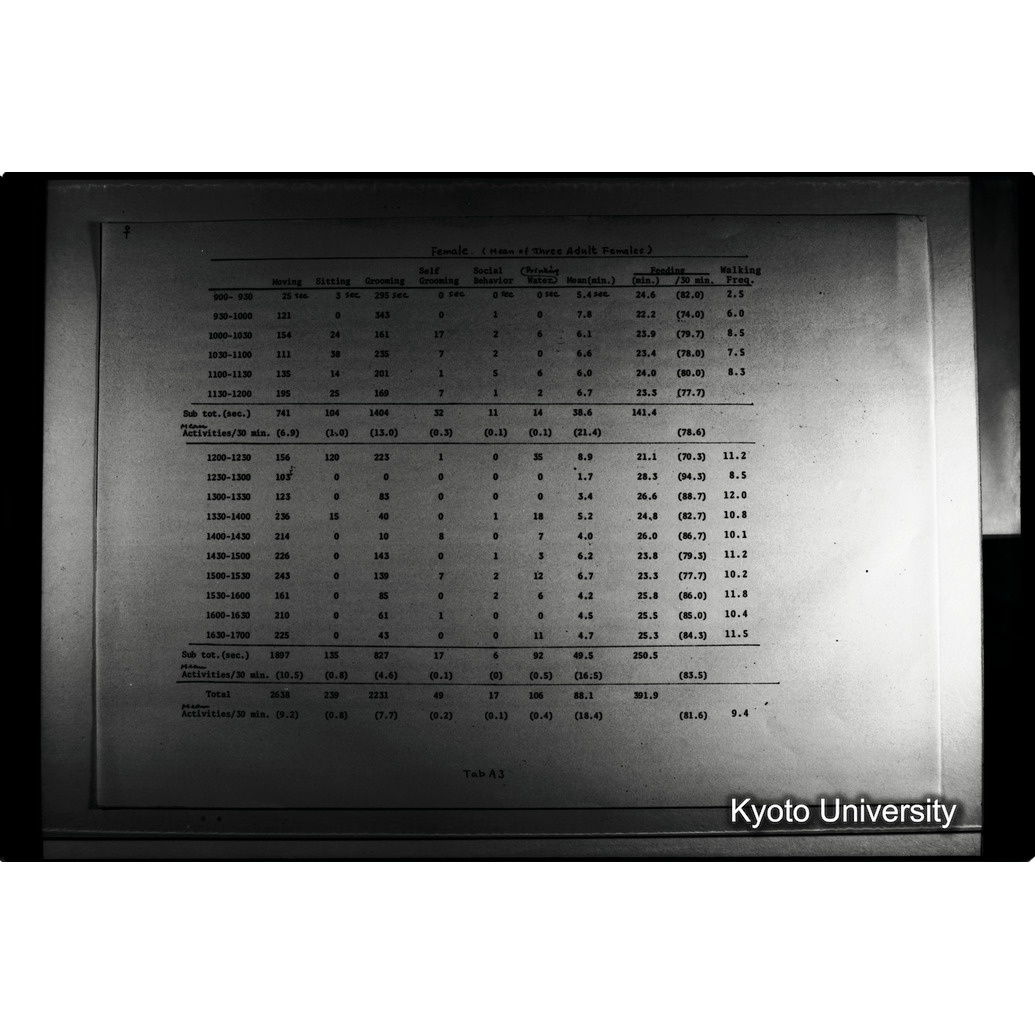 [１９コマ目]「×」 (1)