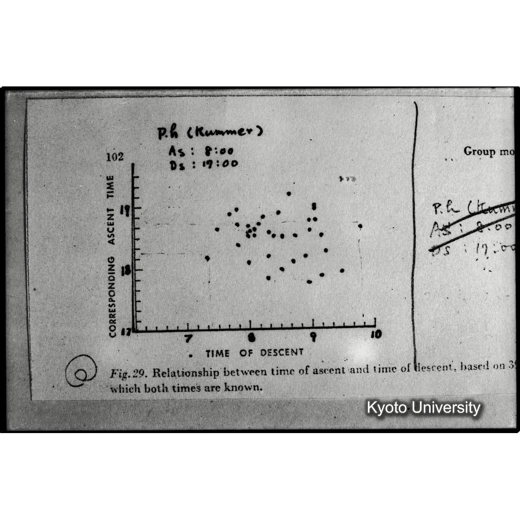 [１０コマ目]「×」 (1)