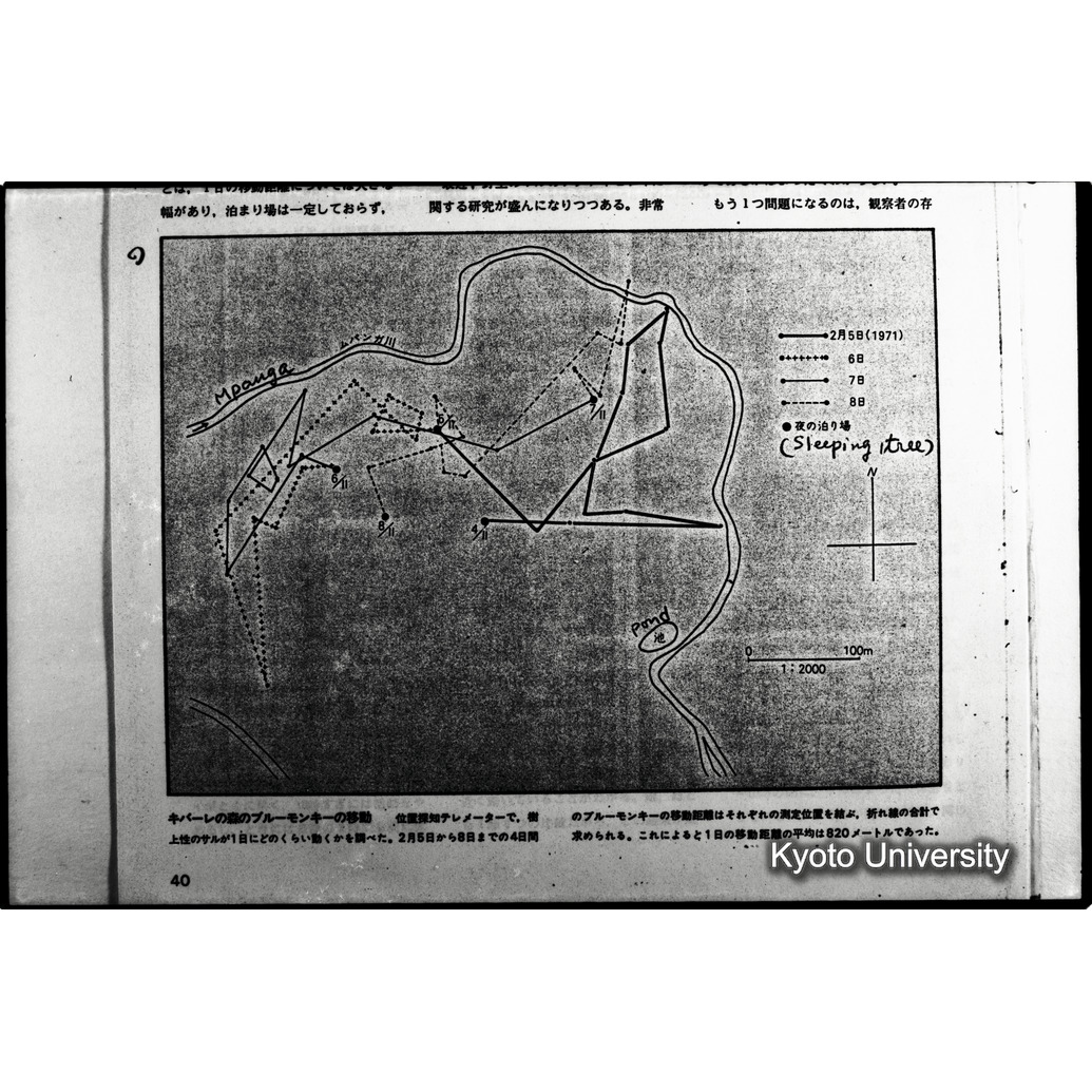 [１１コマ目]「×」 (1)